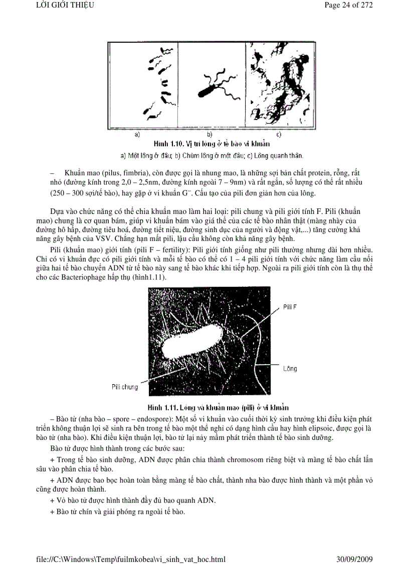 image for page Vi sinh vật học phần 1