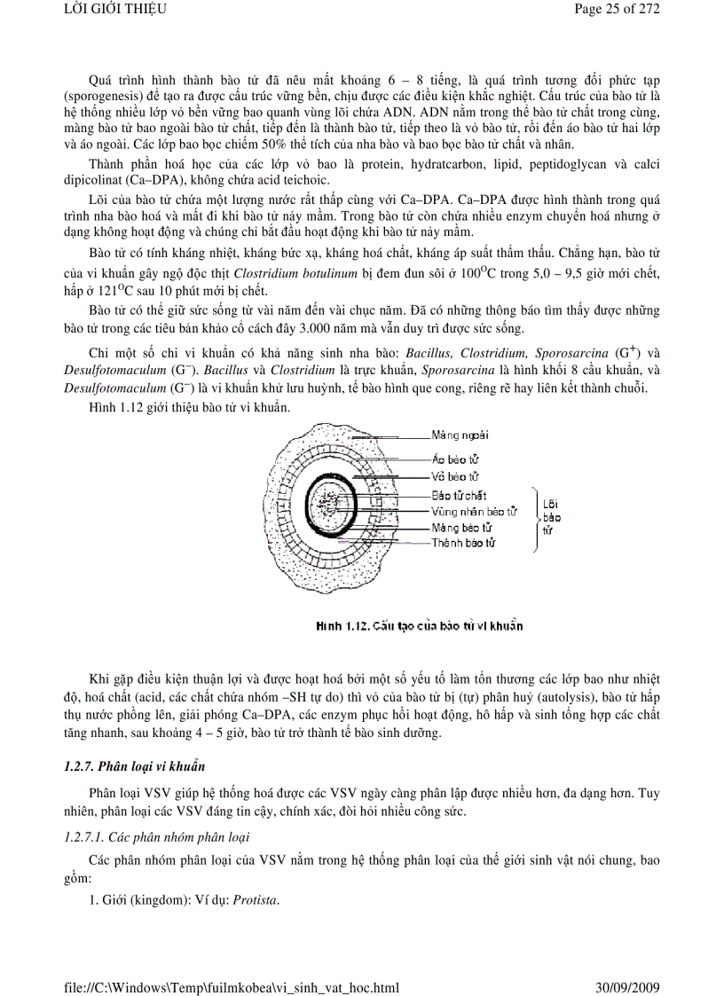 image for page Vi sinh vật học phần 1