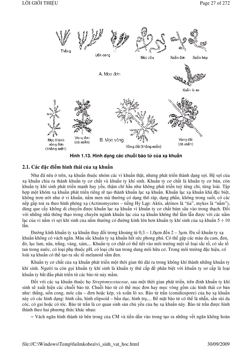 image for page Vi sinh vật học phần 1
