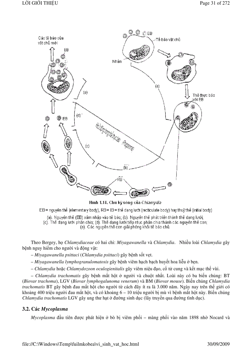image for page Vi sinh vật học phần 1