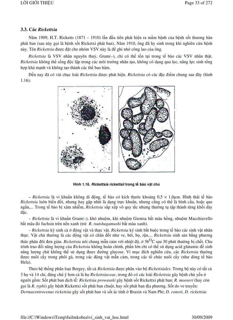 image for page Vi sinh vật học phần 1