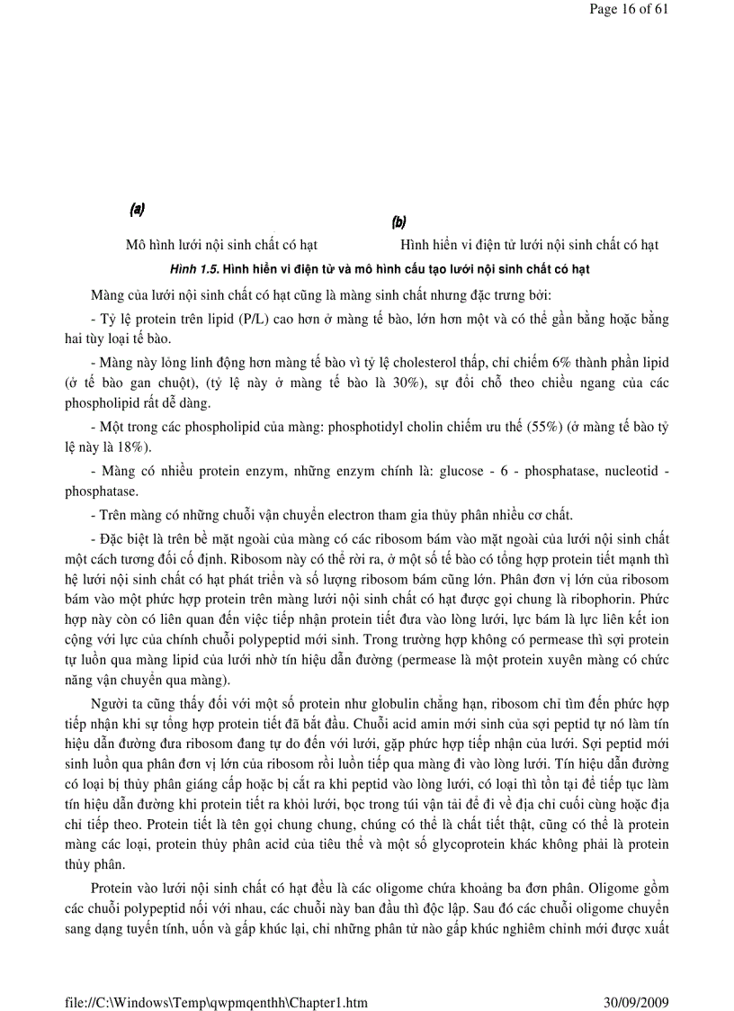 image for page Sinh học phần 1