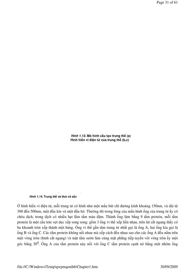 image for page Sinh học phần 1