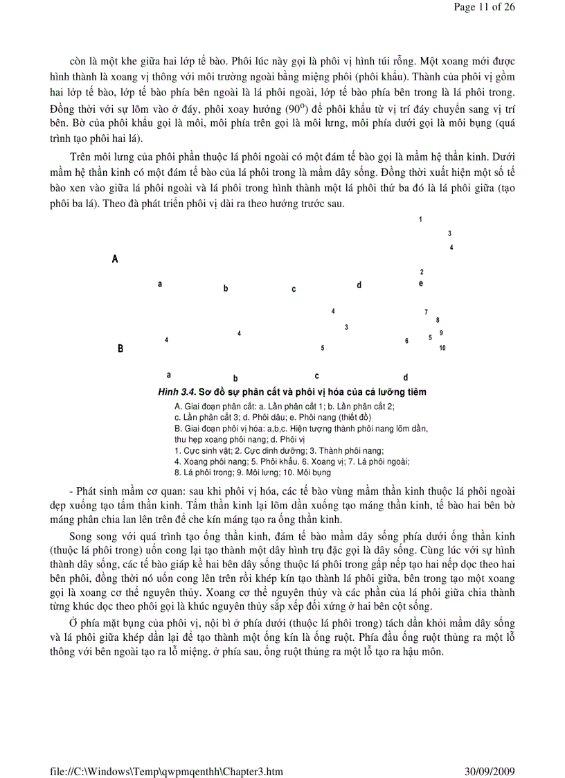 image for page Sinh học phần 2