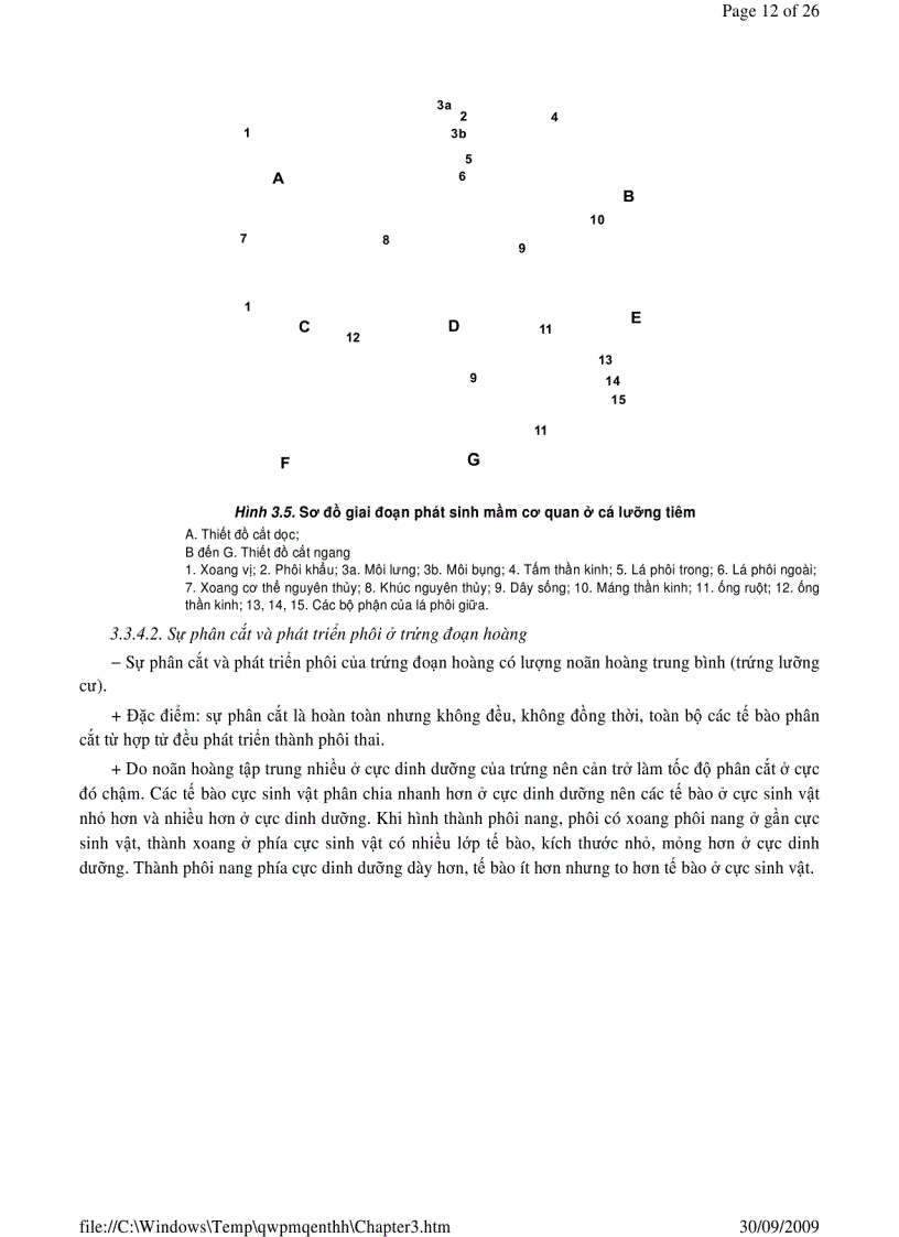 image for page Sinh học phần 2