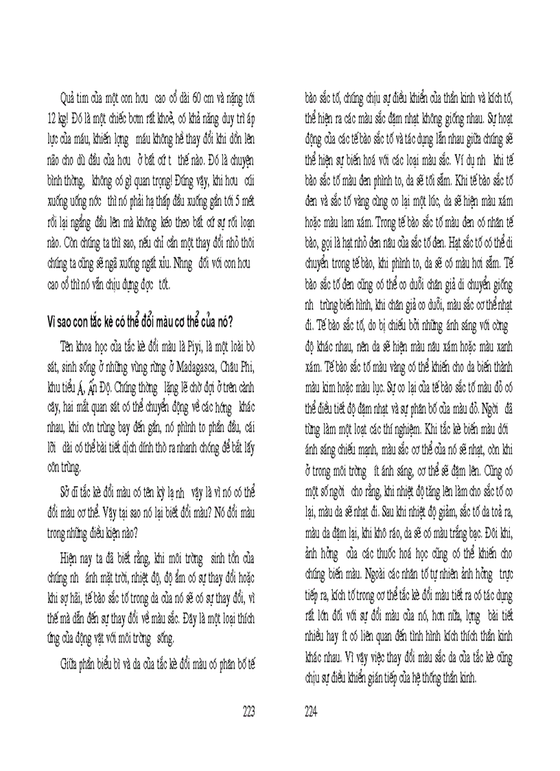 image for page 11 vạn câu hỏi vì sao NXB Văn hóa Thông tin 2006 Thành Đông Hồng Sâm biên soạn