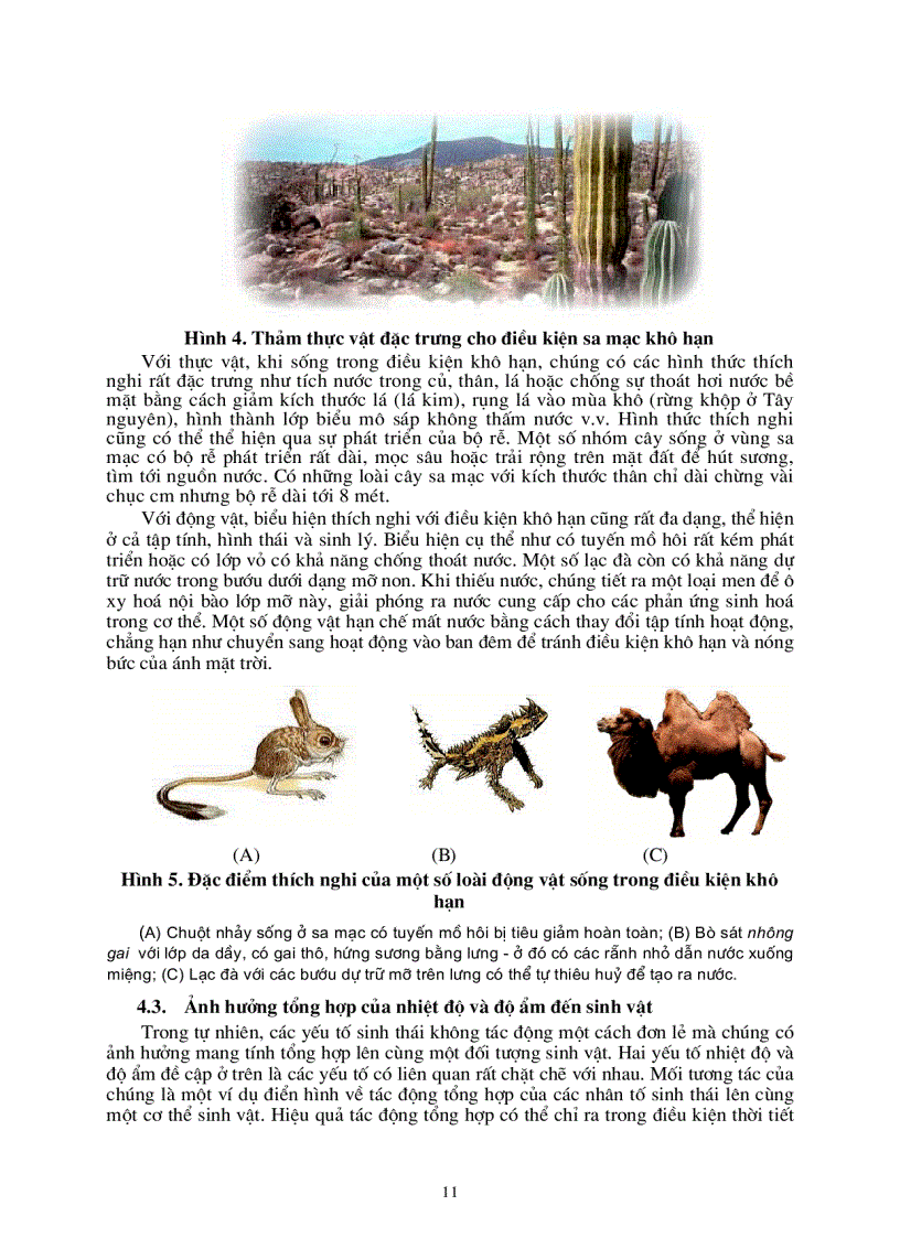 image for page Sinh thái học nông nghiệp