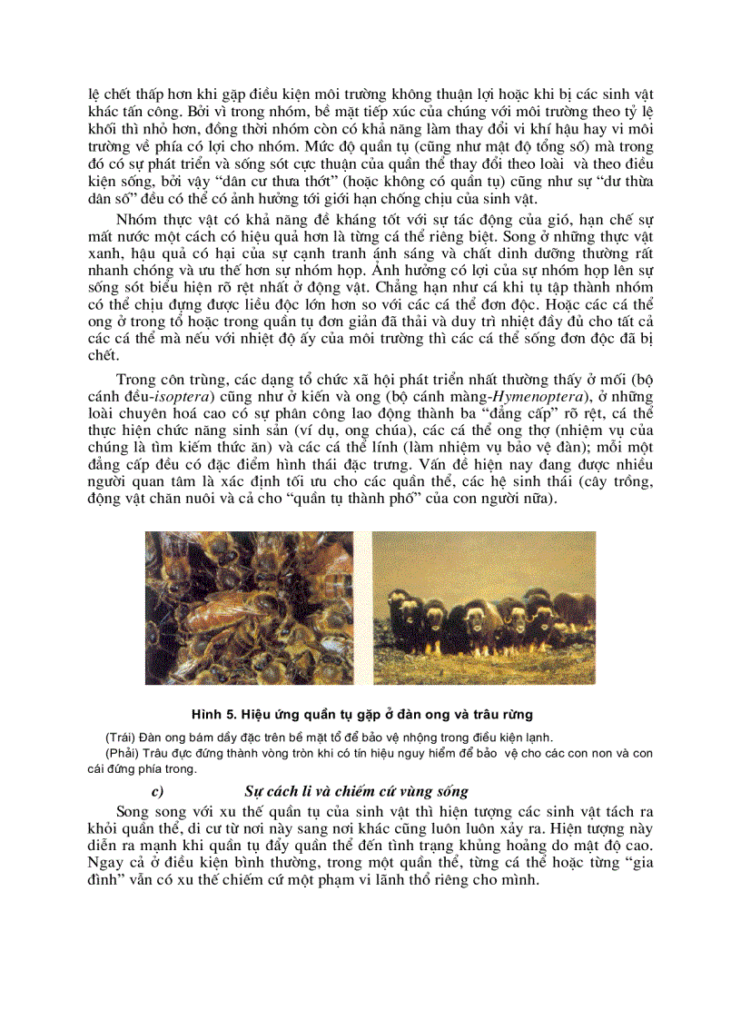 image for page Sinh thái học nông nghiệp