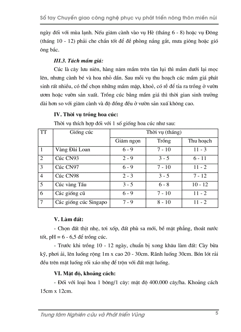 image for page Kỹ thuật trồng hoa cúc