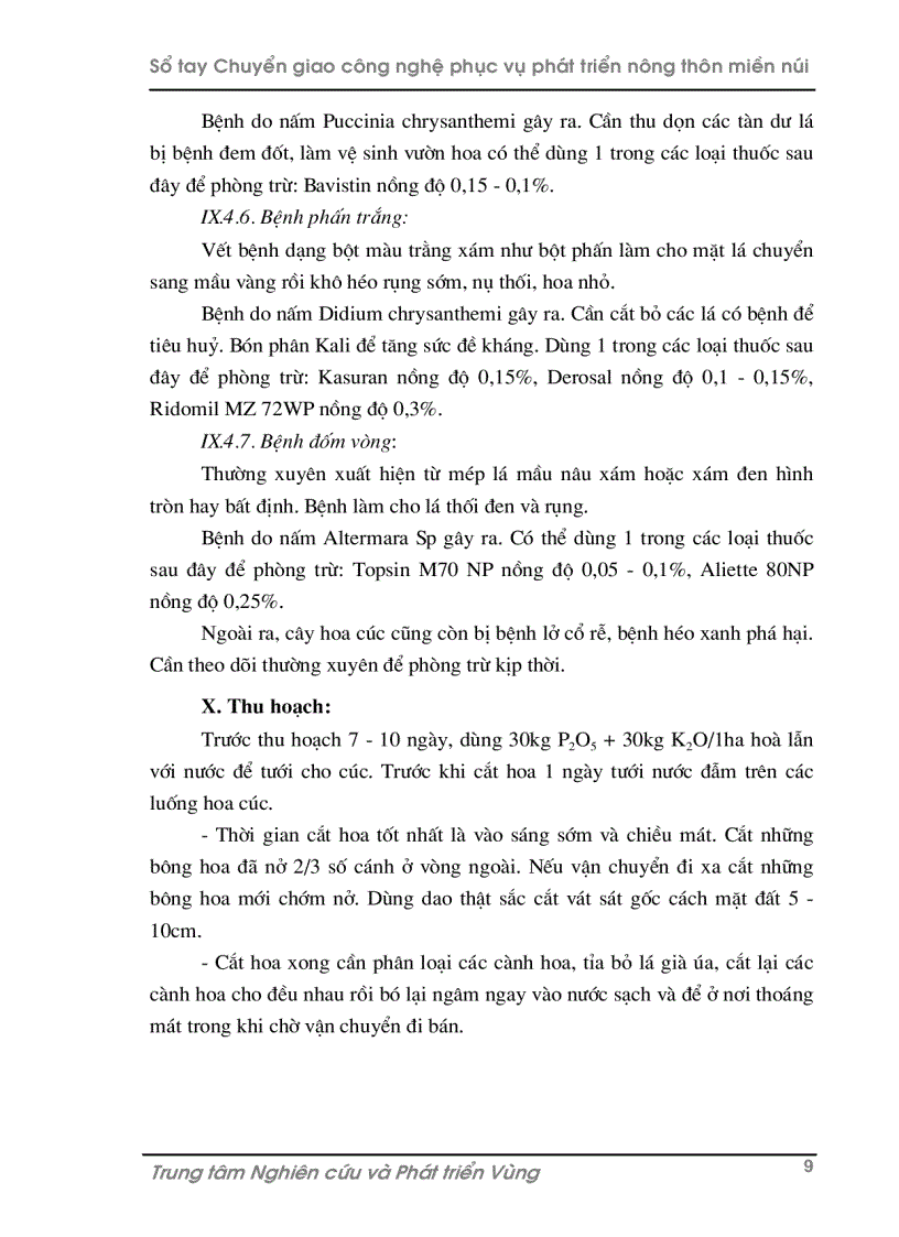 image for page Kỹ thuật trồng hoa cúc