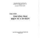 Giáo trình cơ bản về Thương mại điện tử TS Trần Văn Hòe 2006