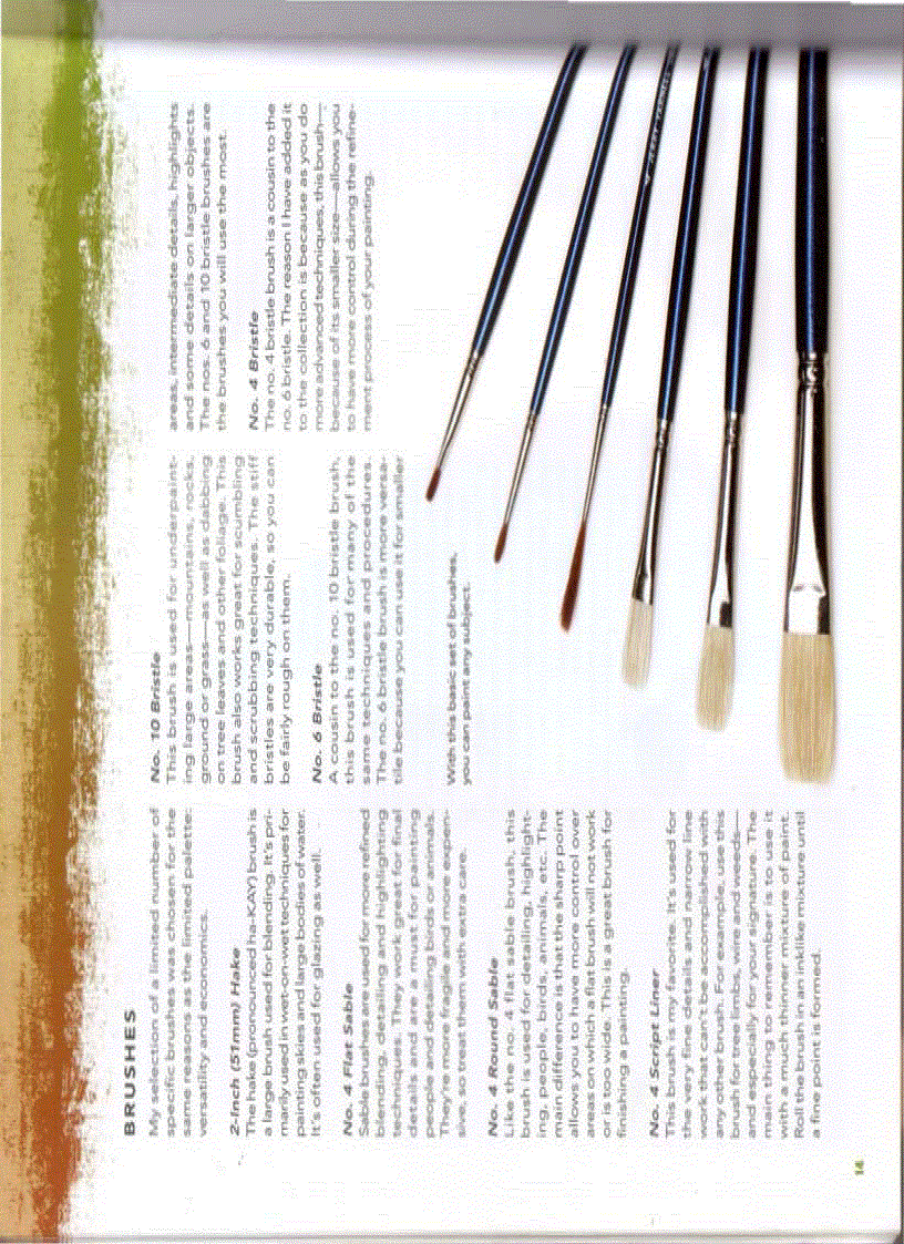 image for page Sách dạy vẽ cho người mới bắt đầu