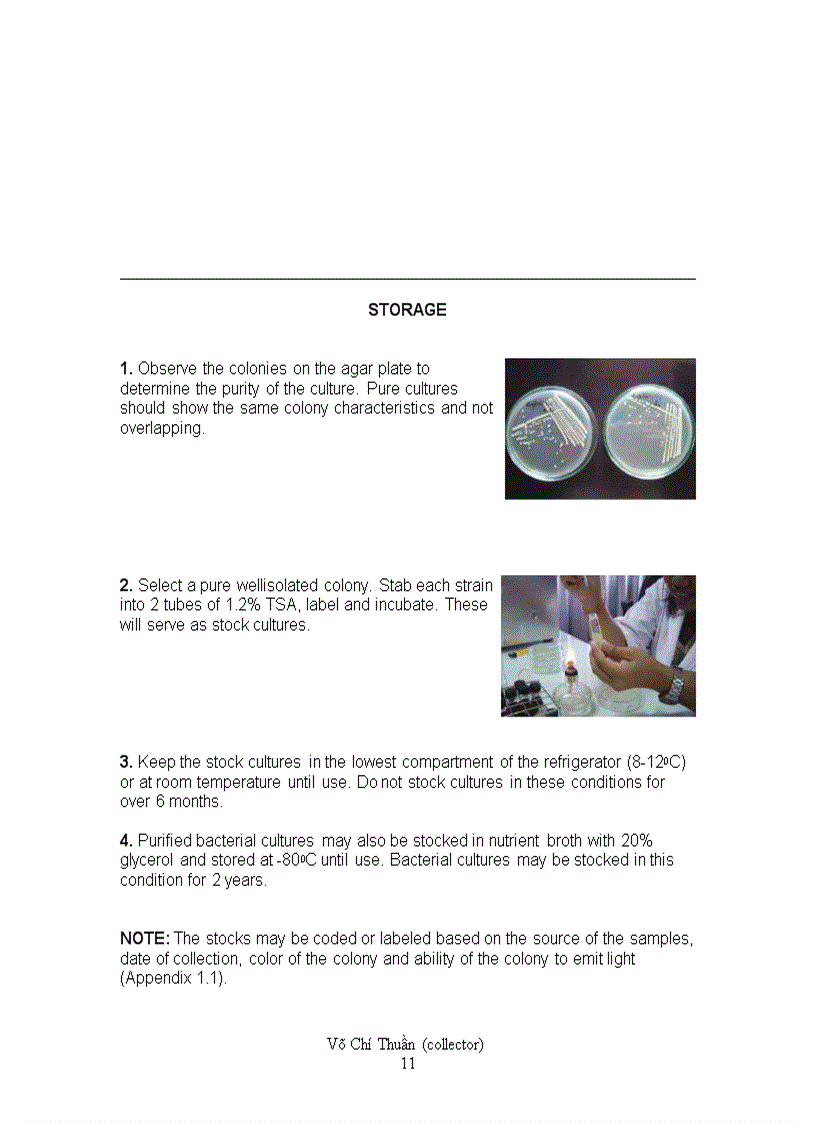 image for page Laboratory Manual of Standardized Methods for Antimicrobial Sensitivity Tests for Bacteria Isolated from Aquatic Animals and Environment