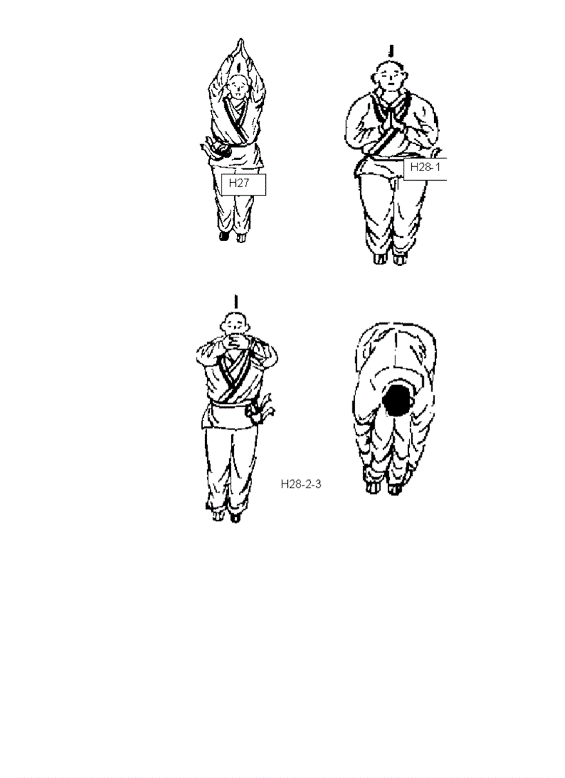 image for page Dịch cân kinh