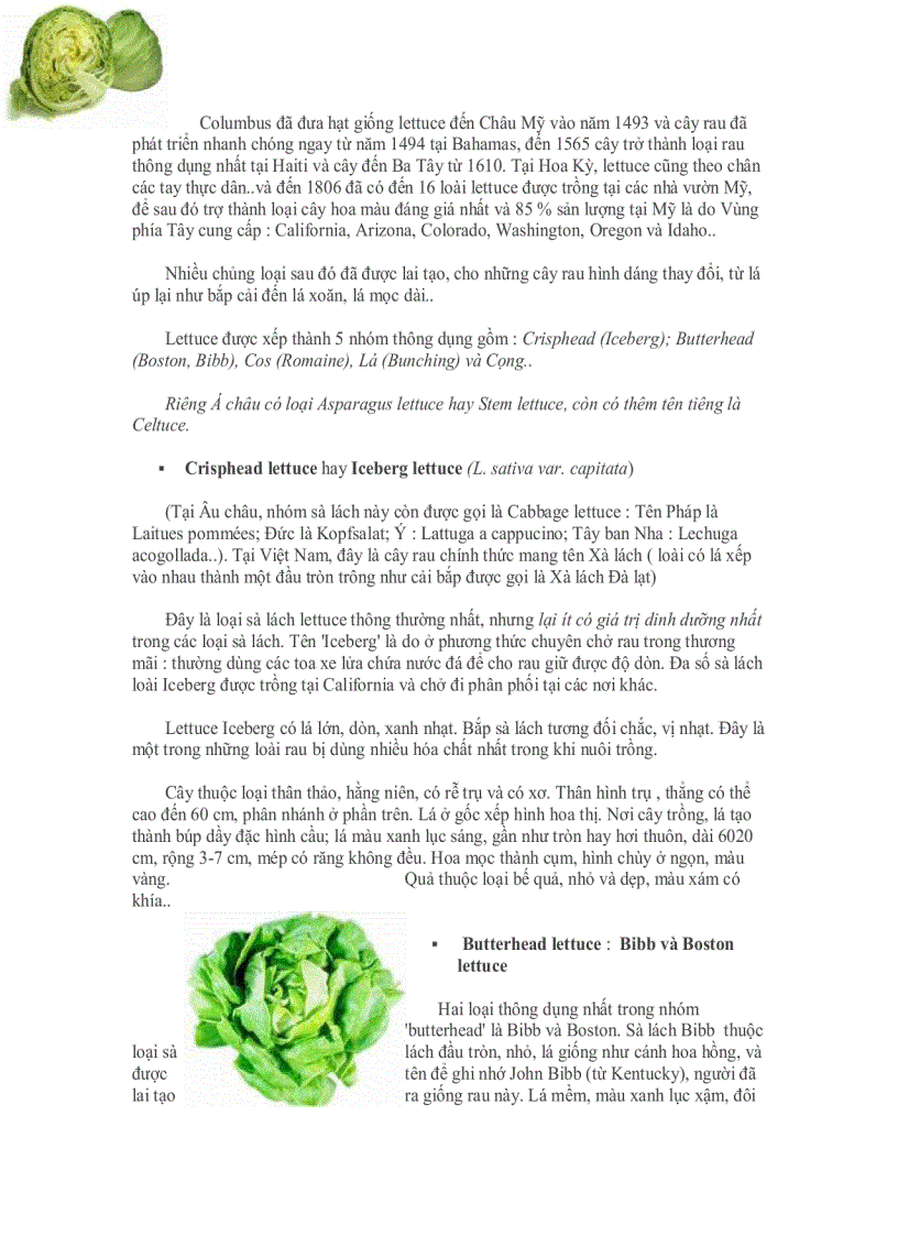 image for page Từ điển thảo mộc dược học sách hay