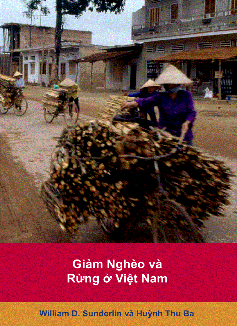 image for page Giảm nghèo và rừng ở Việt Nam William D Sunderlin Huỳnh Thu Ba