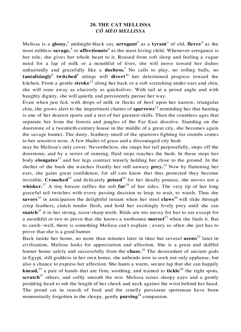 image for page Hướng dẫn viết luận tiếng anh