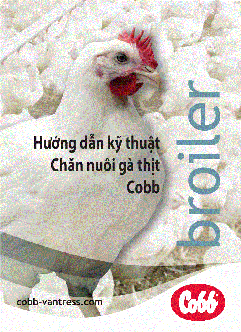 image for page Hướng dẫn kỹ thuật Chăn nuôi gà thịt Cobb