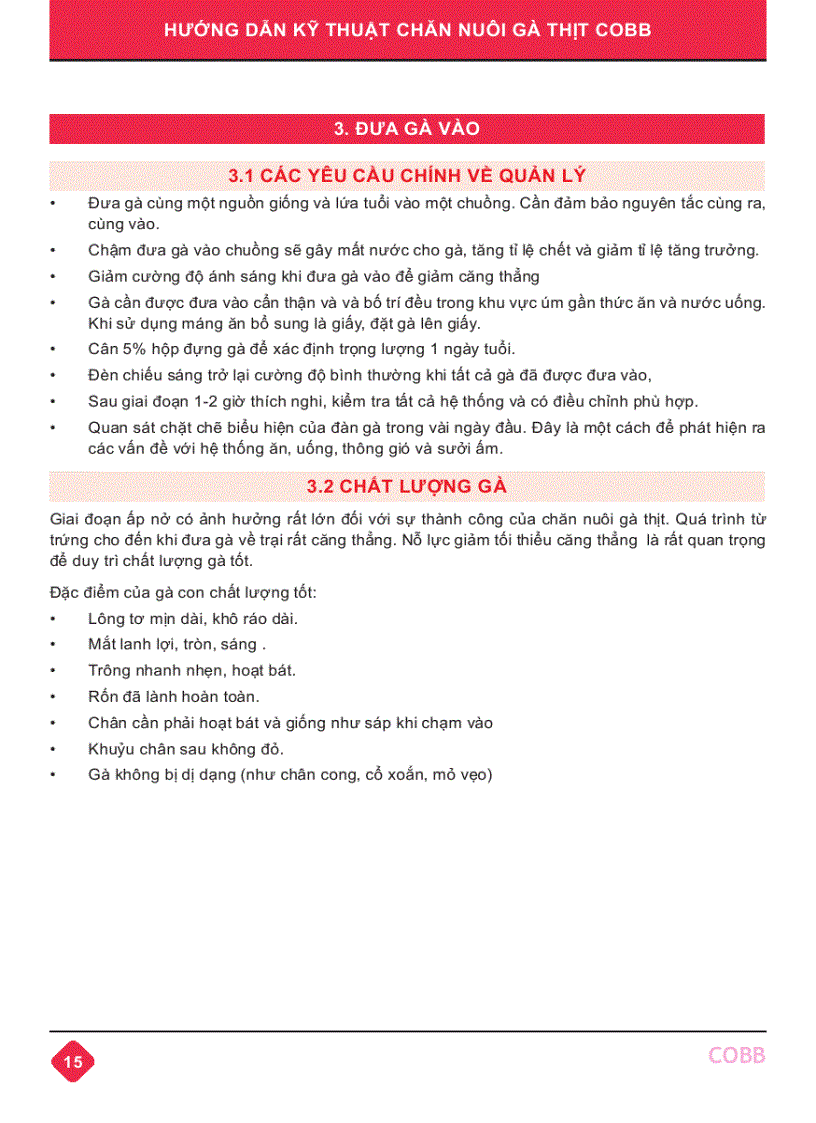 image for page Hướng dẫn kỹ thuật Chăn nuôi gà thịt Cobb