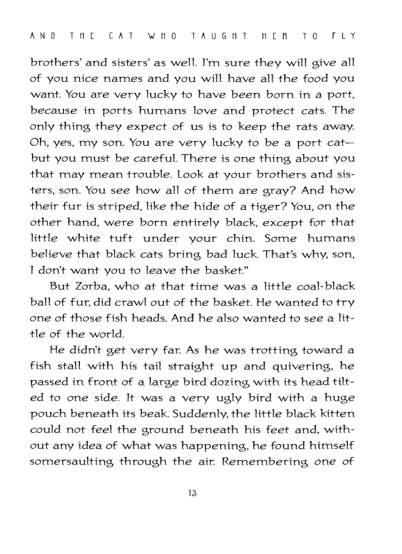 image for page Ebook The Story of a Seagull and the Cat Who Taught Her To Fly Luis Sepulveda