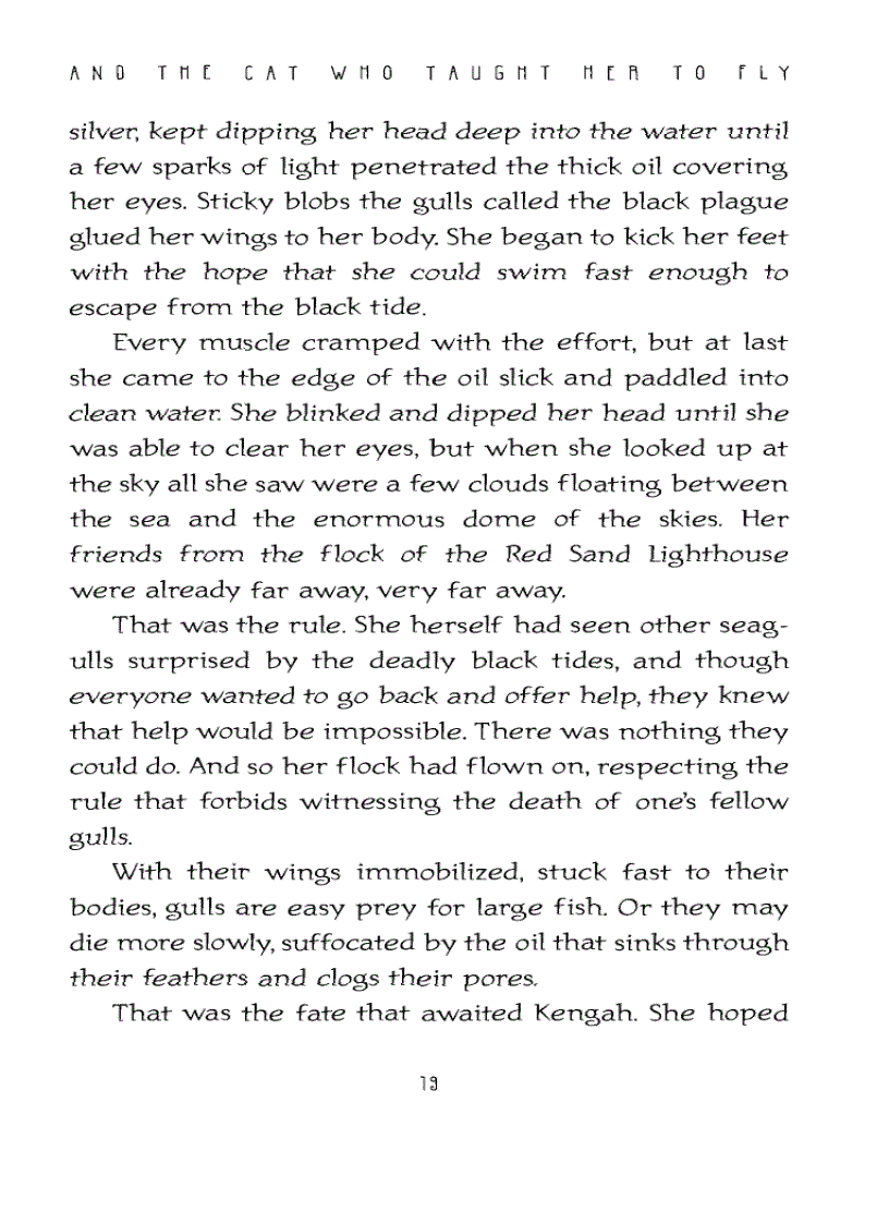 image for page Ebook The Story of a Seagull and the Cat Who Taught Her To Fly Luis Sepulveda