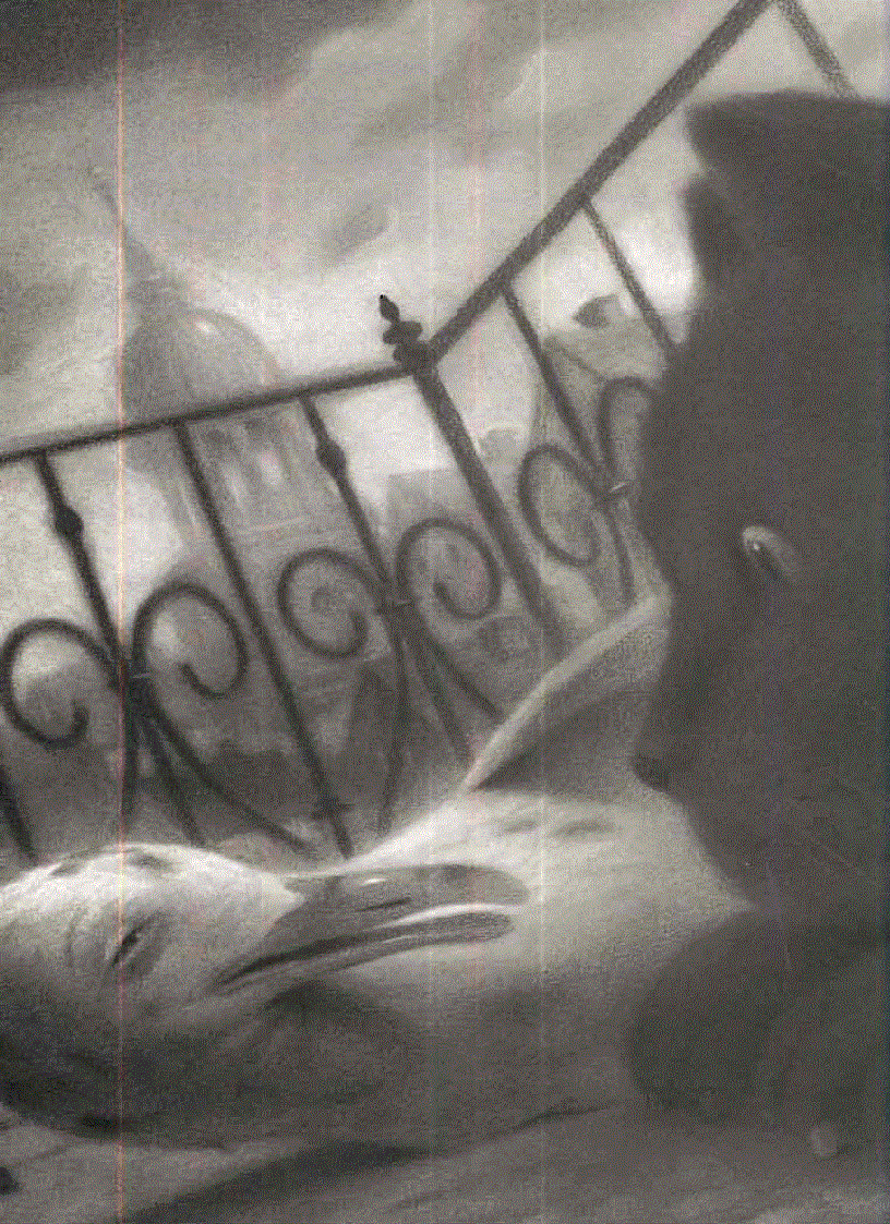 image for page Ebook The Story of a Seagull and the Cat Who Taught Her To Fly Luis Sepulveda