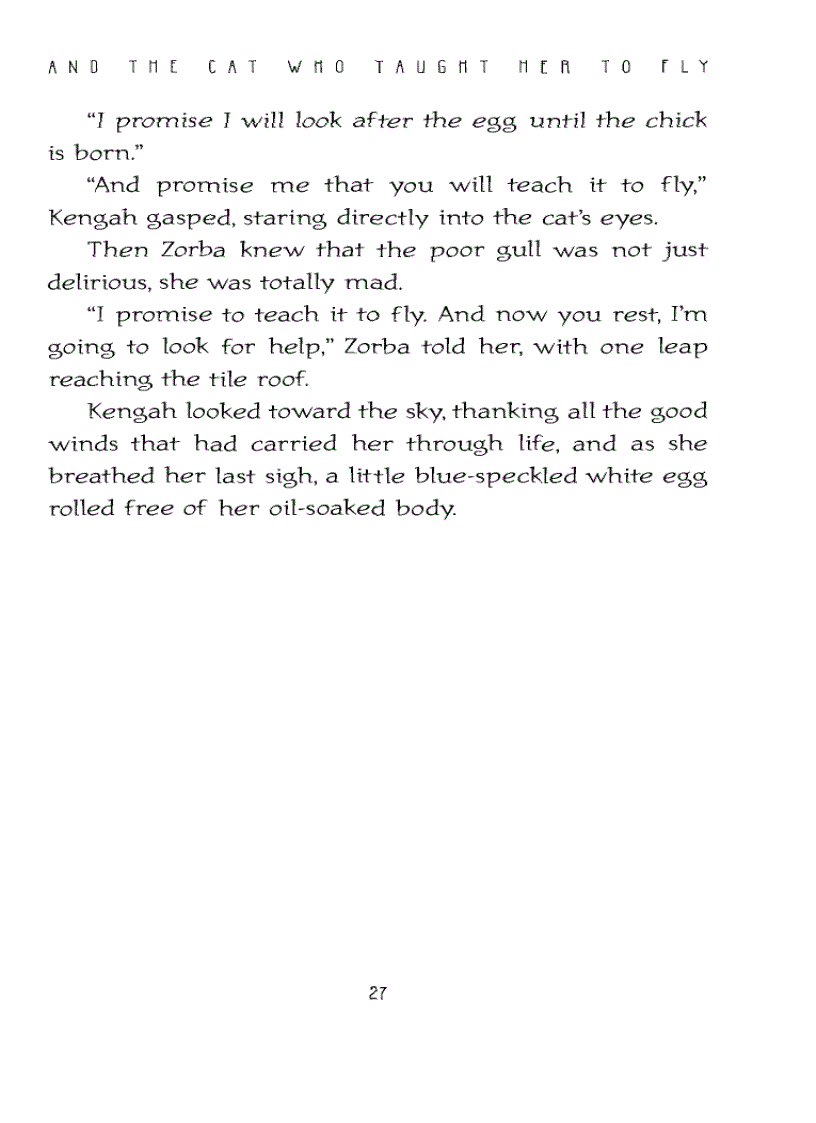 image for page Ebook The Story of a Seagull and the Cat Who Taught Her To Fly Luis Sepulveda