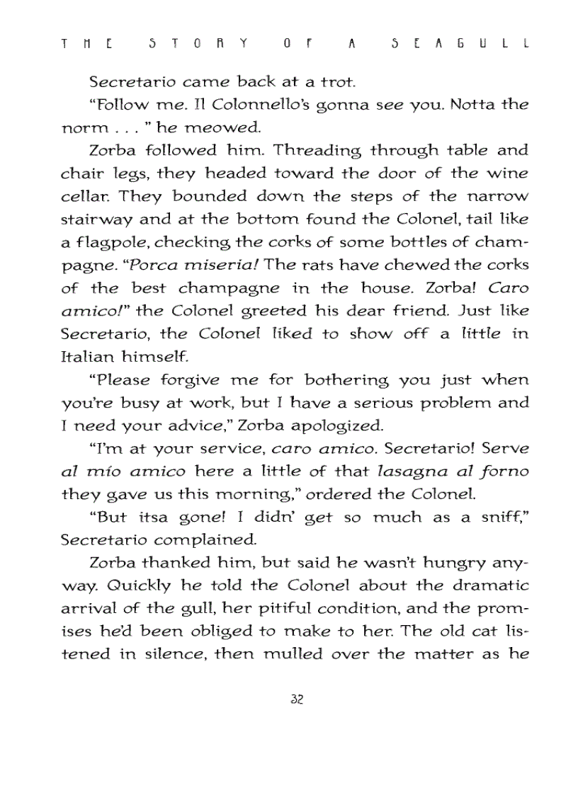 image for page Ebook The Story of a Seagull and the Cat Who Taught Her To Fly Luis Sepulveda