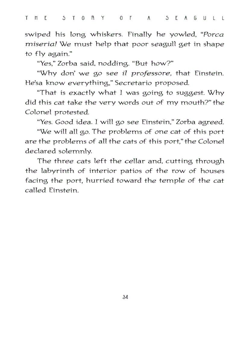 image for page Ebook The Story of a Seagull and the Cat Who Taught Her To Fly Luis Sepulveda