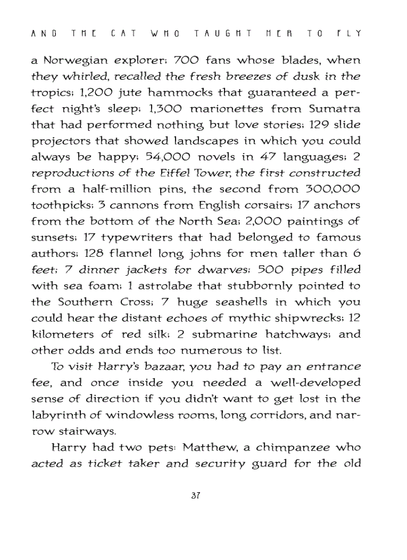 image for page Ebook The Story of a Seagull and the Cat Who Taught Her To Fly Luis Sepulveda