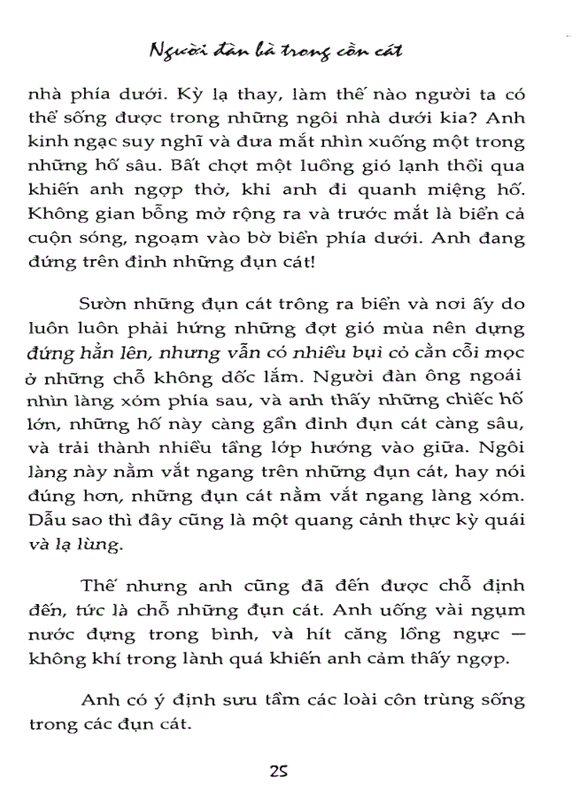 image for page Ebook Người đàn bà trong cồn cát Kobo Abe