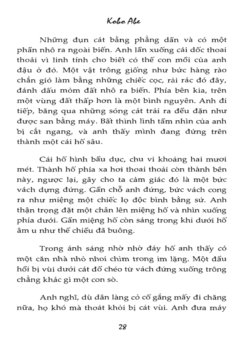 image for page Ebook Người đàn bà trong cồn cát Kobo Abe
