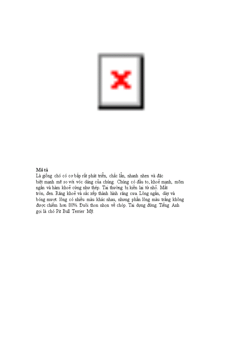 image for page Danh mục các giống chó