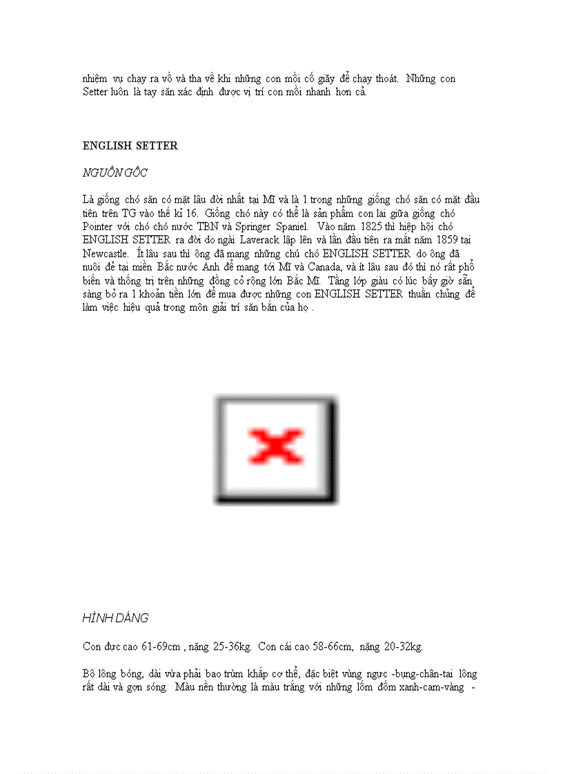 image for page Danh mục các giống chó