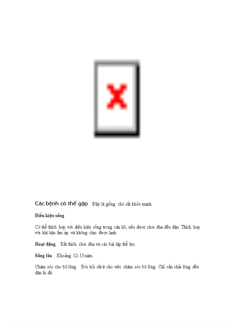 image for page Danh mục các giống chó