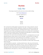 Ebook Giấc Mơ Bachim