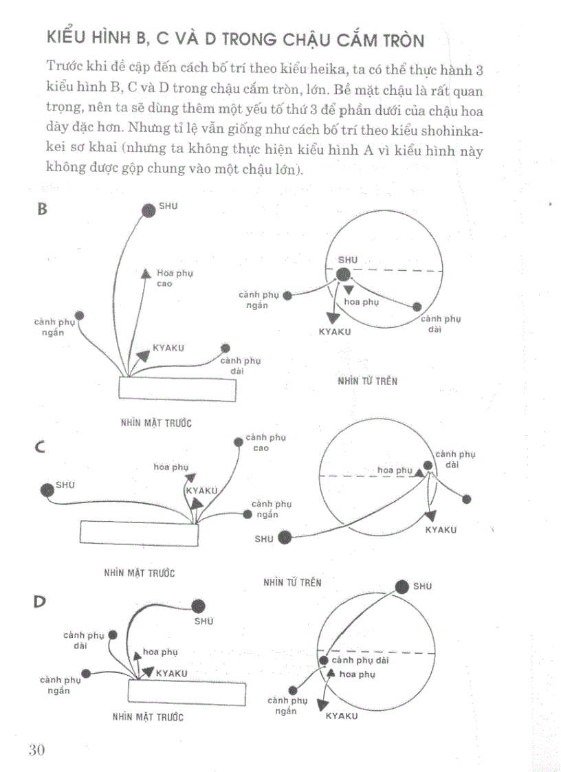 image for page Nghệ thuật cắm hoa Nhật Bản IKEBANA tập 3