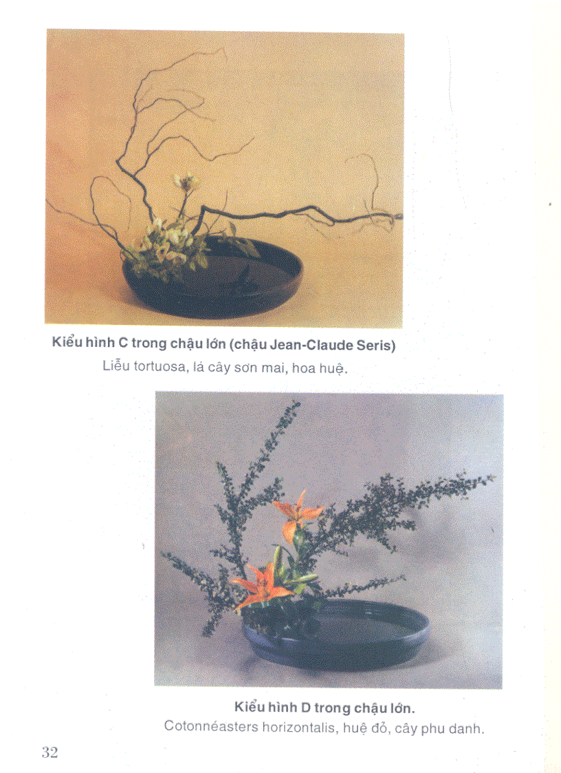 image for page Nghệ thuật cắm hoa Nhật Bản IKEBANA tập 3