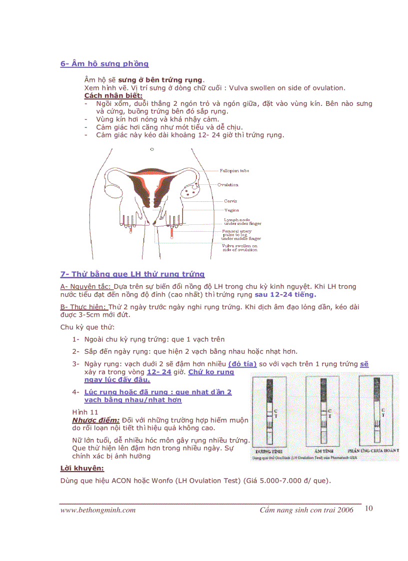 image for page Hướng dẫn sinh thằng cu