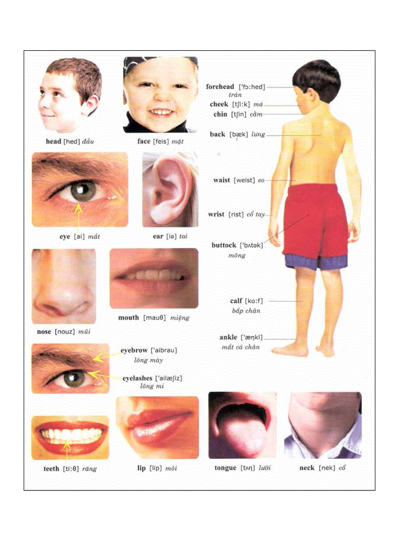 image for page Sách tiếng anh cho trẻ em