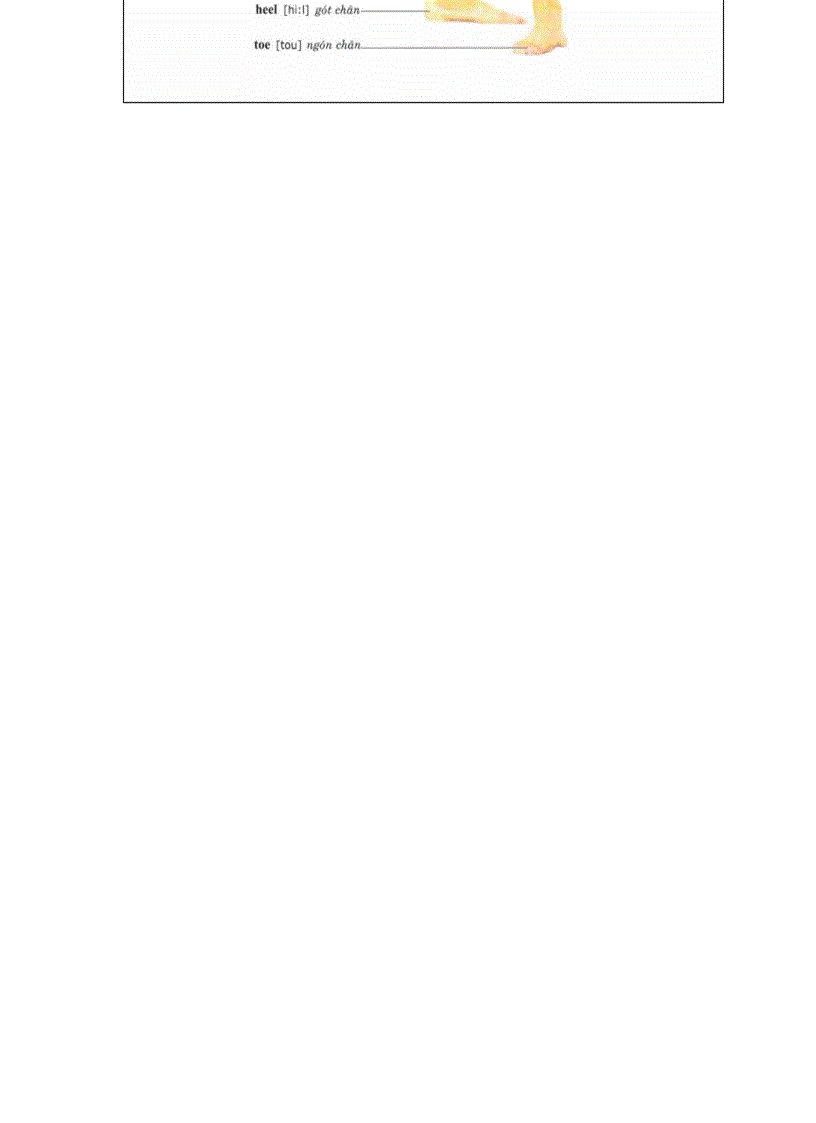 image for page Sách tiếng anh cho trẻ em