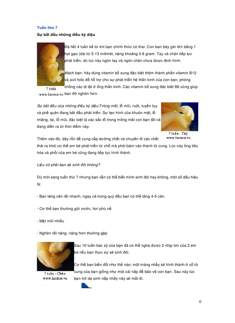 image for page Quá trình phát triển của thai nhi