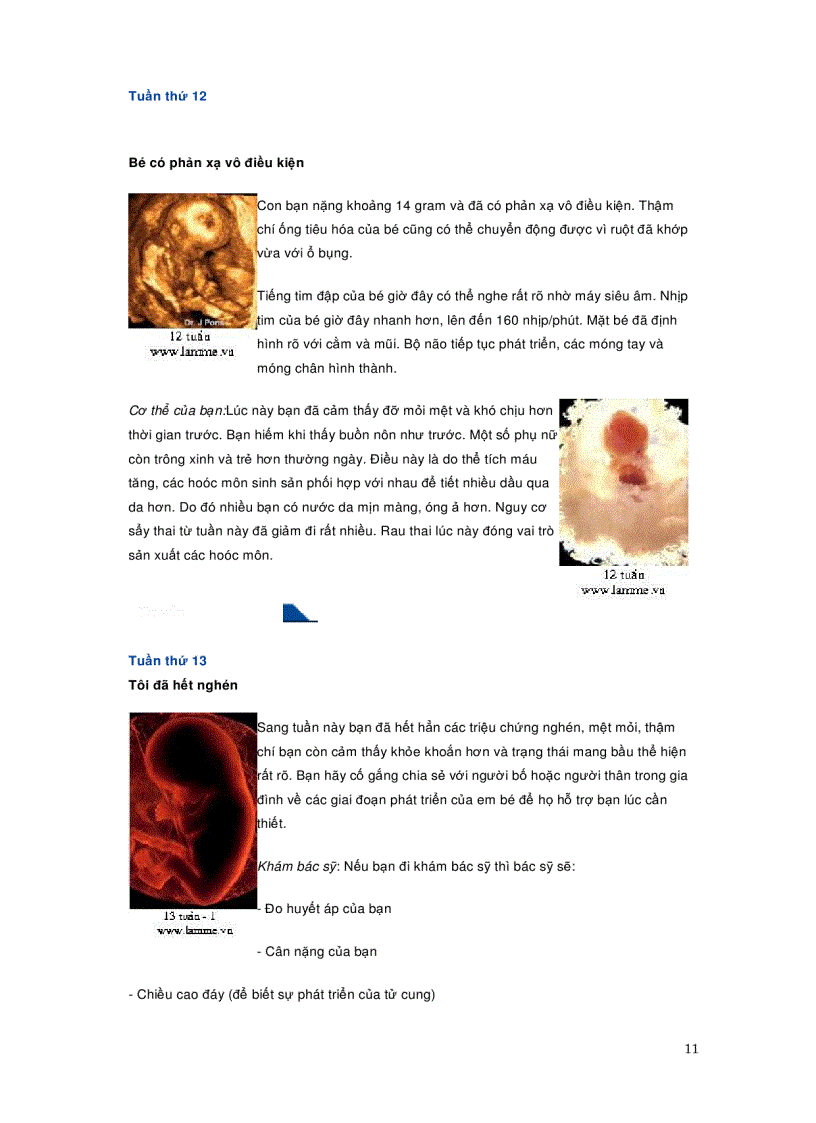 image for page Quá trình phát triển của thai nhi