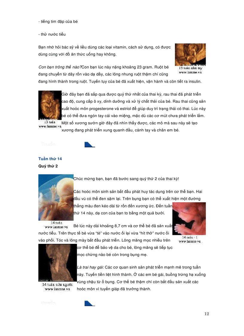 image for page Quá trình phát triển của thai nhi