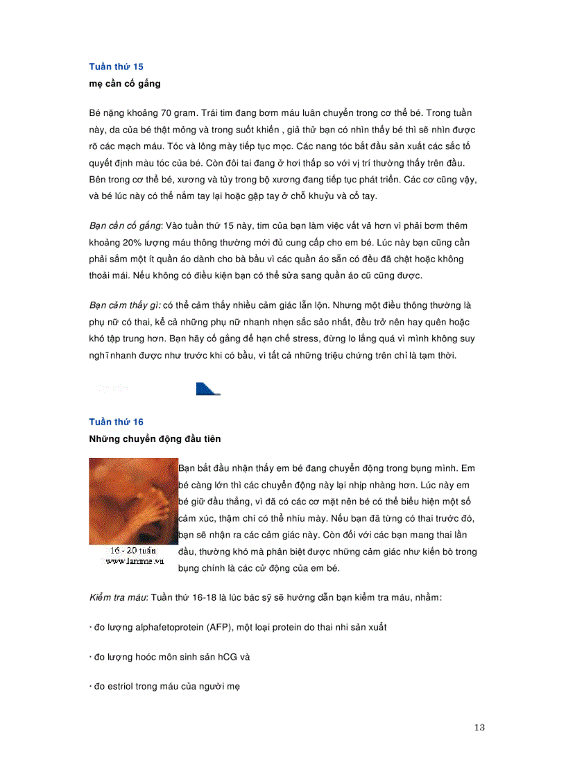 image for page Quá trình phát triển của thai nhi