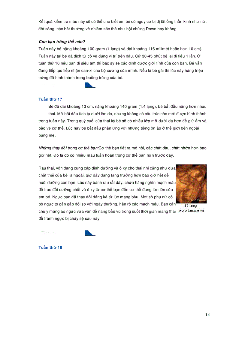 image for page Quá trình phát triển của thai nhi