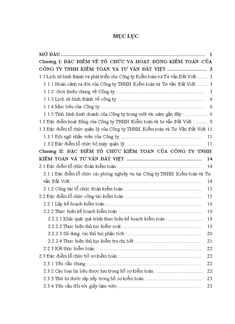 Đặc điểm tổ chức kiểm toán của Công ty TNHH Kiểm toán và Tư vấn Đất Việt