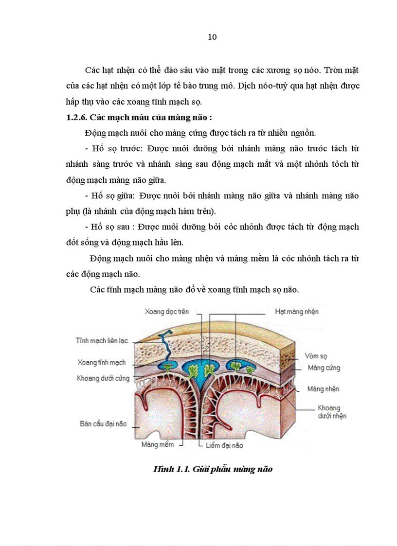 image for page Nghiên cứu đặc điểm lâm sàng và hình ảnh học của bệnh nhân xuất huyết dưới nhện do vỡ phình động mạch thông trước tại khoa thần kinh bệnh viện Bạch Mai