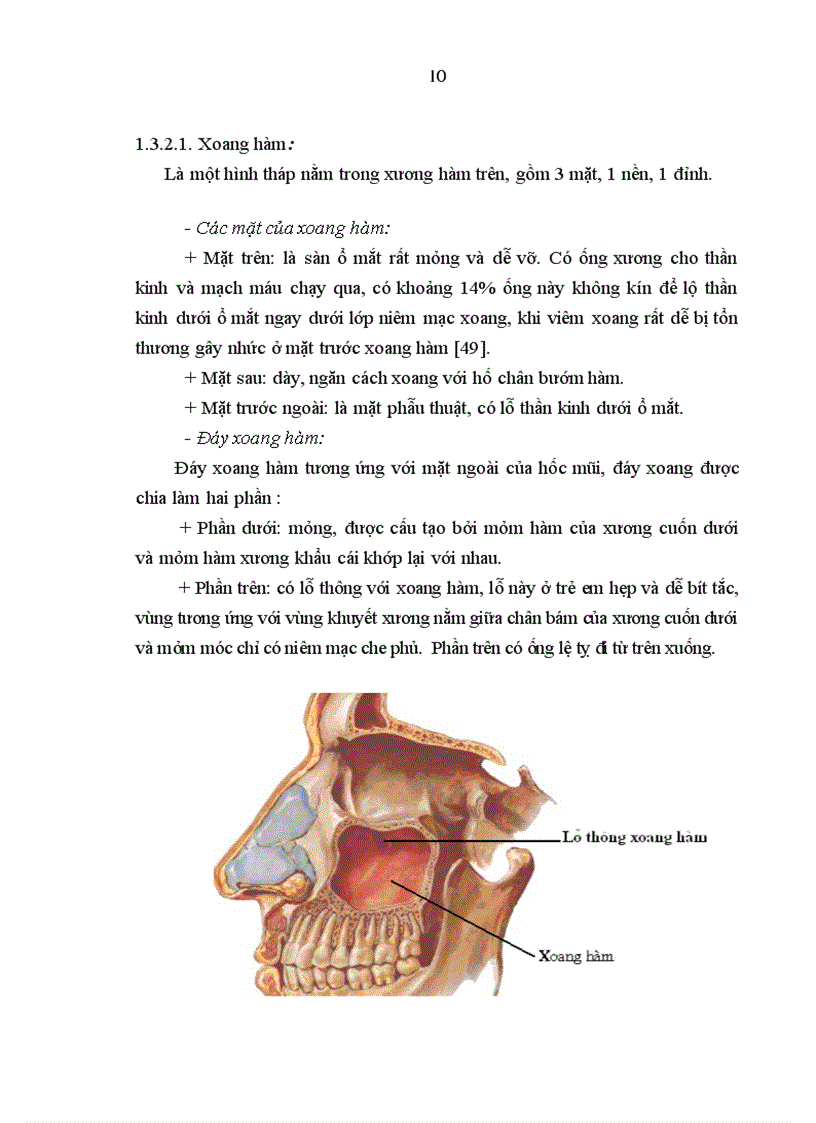 image for page Tìm hiểu các loại vi khuẩn trong xoang xác định độ nhạy cảm với kháng sinh của các loại vi khuẩn thường gặp trong viêm xoang