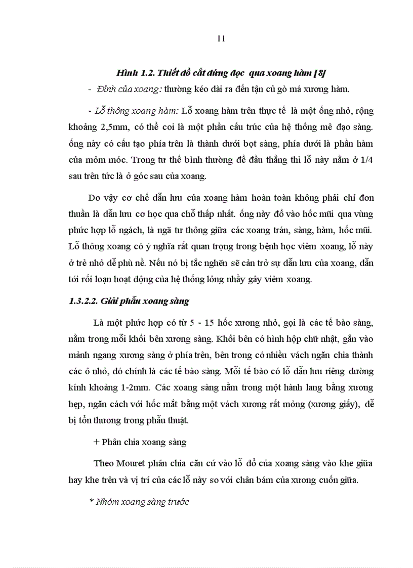 image for page Tìm hiểu các loại vi khuẩn trong xoang xác định độ nhạy cảm với kháng sinh của các loại vi khuẩn thường gặp trong viêm xoang